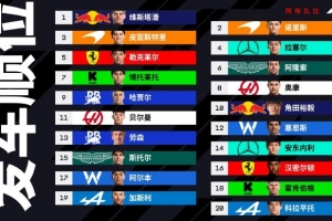 F1阿布扎比站發(fā)車順位：維斯塔潘、諾里斯頭排，皮亞斯特里第二排