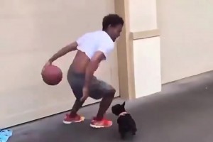 特雷楊以后的垃圾話(huà)：你還沒(méi)狗防的好！