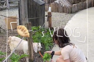 韋世豪老婆的鏡頭里只出現(xiàn)過一次韋世豪，嫂子還是怕豪哥蹭她流量