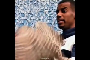 奇怪的默契！利物浦新援伊薩克和埃基蒂克都有恐鳥癥！